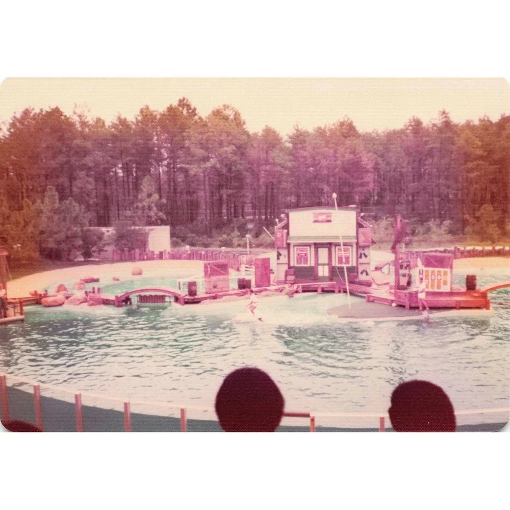 Vintage 1970s Six Flags Great Adventure Orca Water-Ski Show Photo Lot of 11 - Picture 3 of 11